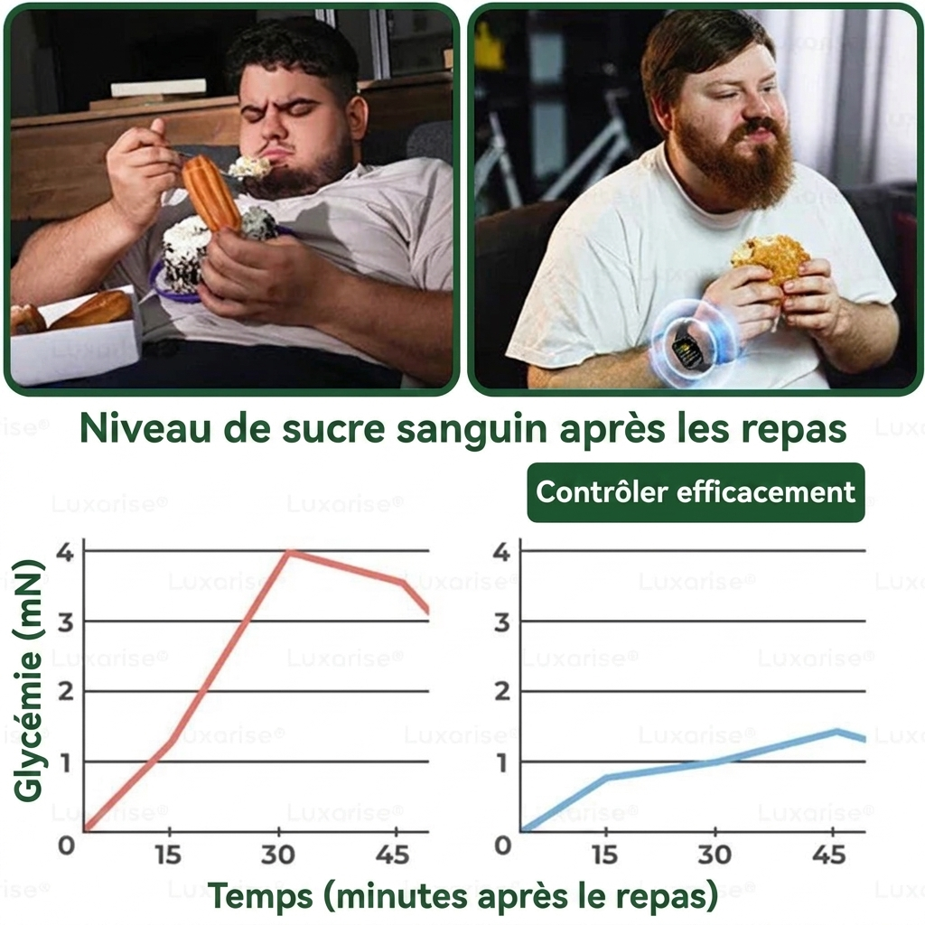 Luxarise® Patch Moringa + Berbérine • Résultats visibles