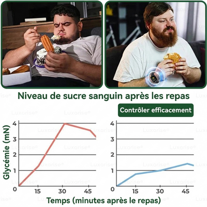 Luxarise® Patch Moringa + Berbérine • Résultats visibles